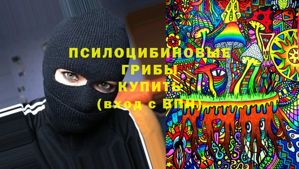 стафф Абаза