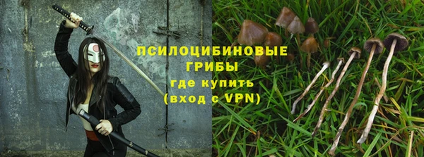 стафф Абаза