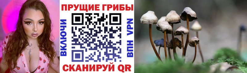 Псилоцибиновые грибы Magic Shrooms наркошоп Эртиль